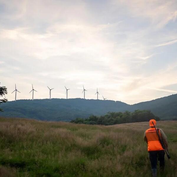 【ジビエ】犬のおもちゃ＆ドッグフード (鹿肉 スジ肉 150g) セット｜小型犬用 鹿の角 ジビエペット用 大槌ジビエ 鹿肉ジャーキー 無添加 岩手県 大槌町 いわて iwate 三陸 MONIJI