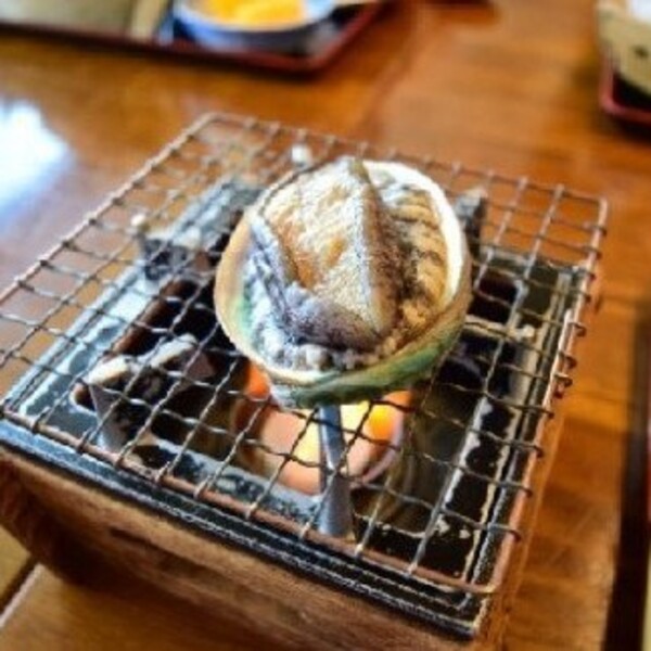 【2025年11月～発送】アワビ 約1kg (7個前後) ※アワビヘラ＆軍手付き※【期間限定】｜11月～12月発送 三陸 岩手県 大槌町 あわび 人気 鮑 刺身 いわて iwate 初栄丸