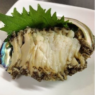 【2025年11月～発送】アワビ 約500g ( 4個前後) ※アワビヘラ＆軍手付き※【期間限定】｜11月～12月発送 三陸 岩手県 大槌町 あわび 人気 鮑 刺身 いわて iwate 2025 初栄丸