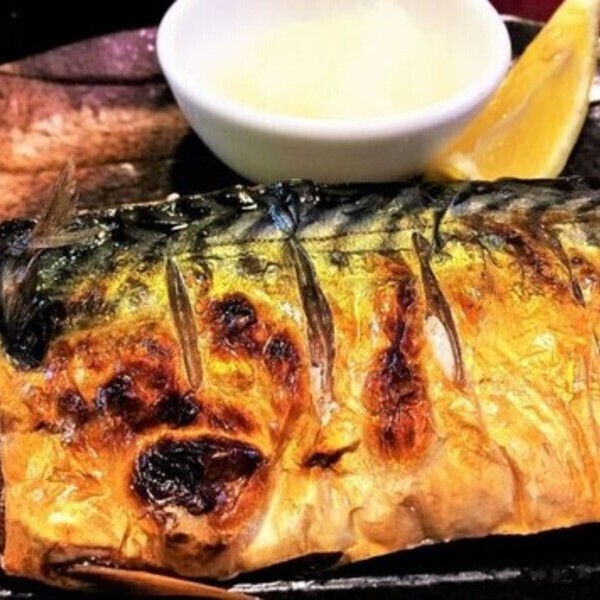 塩さば一夜干し2枚×2とさば味噌カツ200g×2のセット