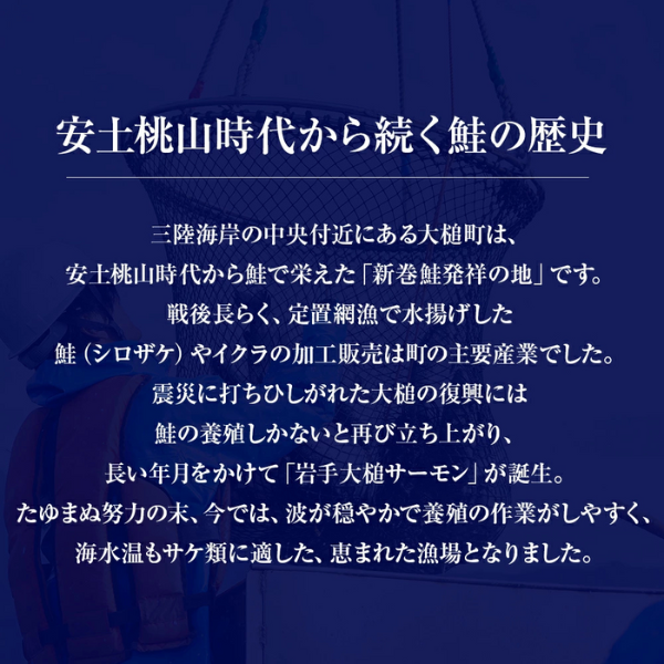 【大槌サーモン】定塩・塩切身約1.6kg (4～5切入り 真空パック×4パック)