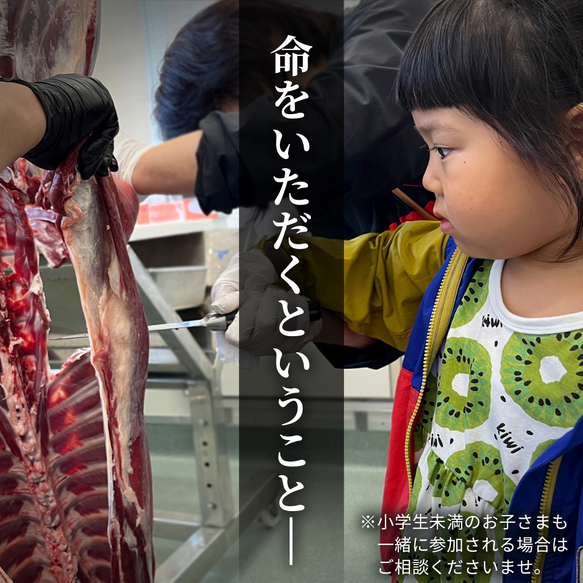 ｢獲る｣瞬間を体感する【大槌ジビエツーリズムチケット】3名分｜体験 チケット ジビエ 鹿 岩手県大槌町 大槌ジビエ 体験型