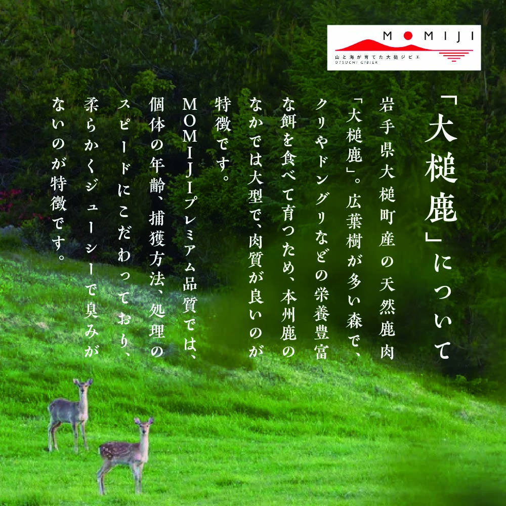 【大人気！鹿肉ジャーキー】これシカねぇべ（スモーク味）12g×2箱【おやつ、おつまみに】岩手県産 天然鹿 鹿肉 ジャーキー おやつ おつまみ