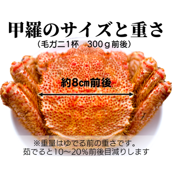 【令和8年発送】三陸産 三陸活毛ガニ 300g×2杯【2026年3月～4月発送】【05】
