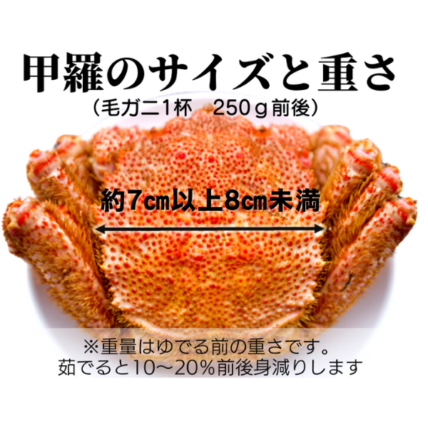【令和8年発送】三陸産 三陸活毛ガニ 250g×3杯【2026年3月～4月発送】【05】