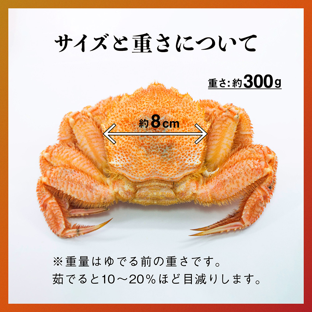 【令和8年発送先行予約】三陸産！活毛ガニセット 300g×4杯【08】【2026年2月～4月発送】