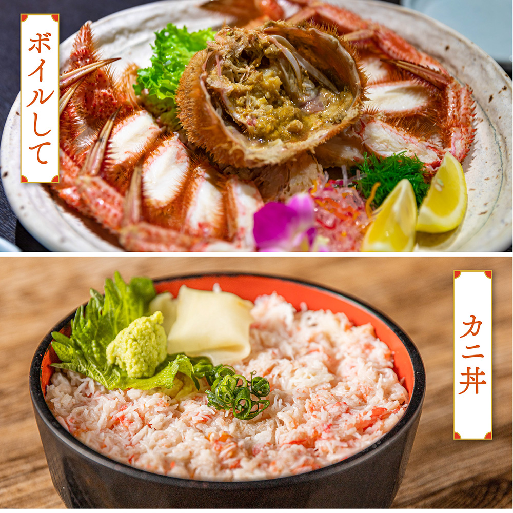 【令和8年発送先行予約】【訳あり】三陸産 活毛ガニ 5kg【08】【2025年2月～4月発送】