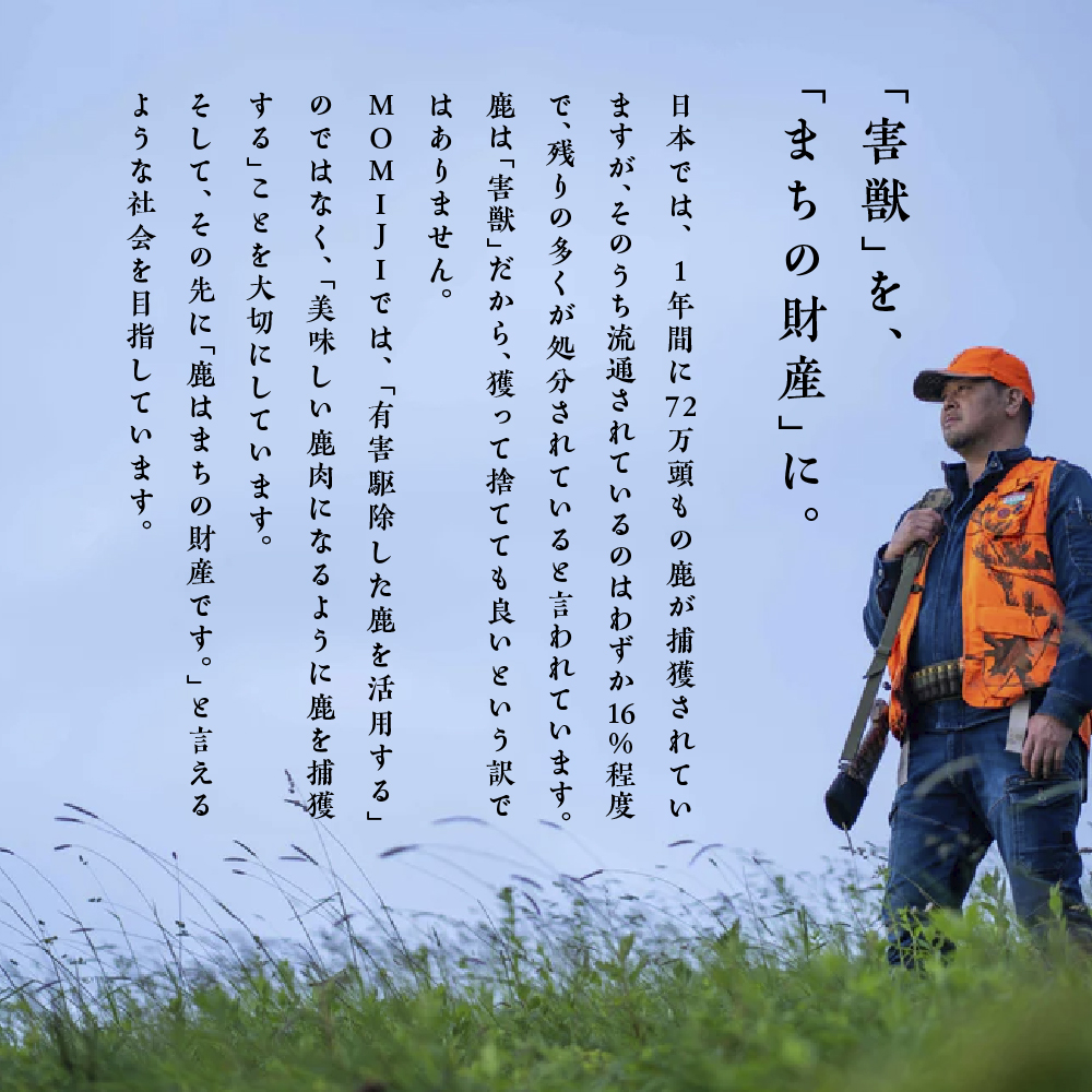 【大槌鹿のコク旨シチュー缶詰2個＆鹿肉ジャーキー「これシカねぇべ」4個セット】ジビエ 鹿肉 ジャーキー 燻製 おやつ おつまみ 高級 贈答 贅沢 無添加 ギフト 贈物 贈り物 ギフトセット 詰め込わせ 加工食品 常温保存 岩手 大槌 MOMIJI（プレーン味1個、スモーク味1個、一味唐辛子味2個）