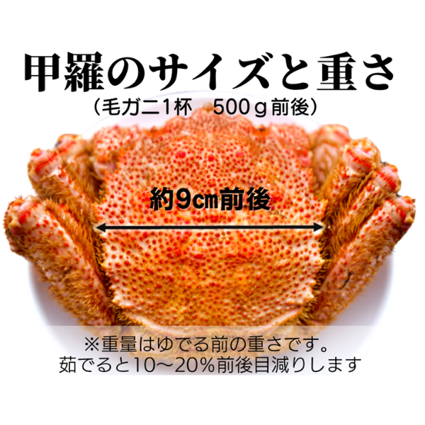 【令和8年発送】三陸産 三陸活毛ガニ 500g×4杯【2026年3月～4月発送】【05】