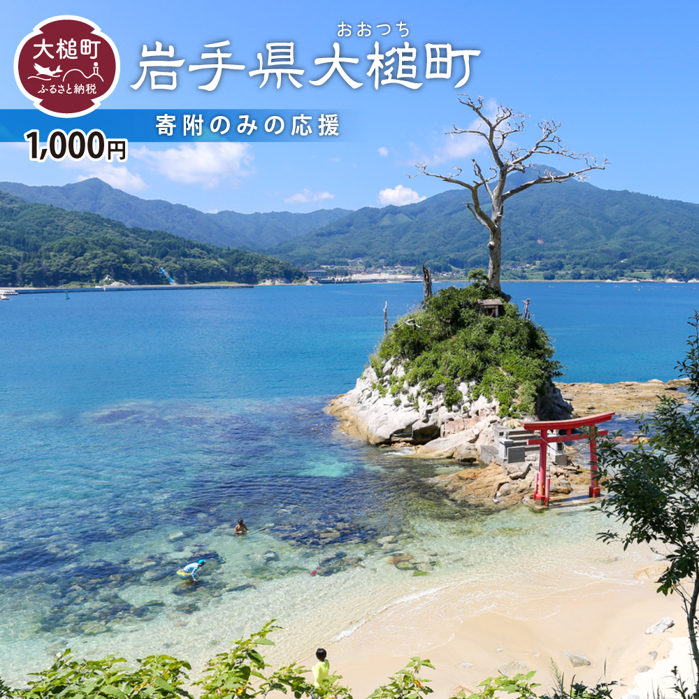 【ふるさと納税】≪返礼品なし≫ 岩手県 大槌町 1,000円