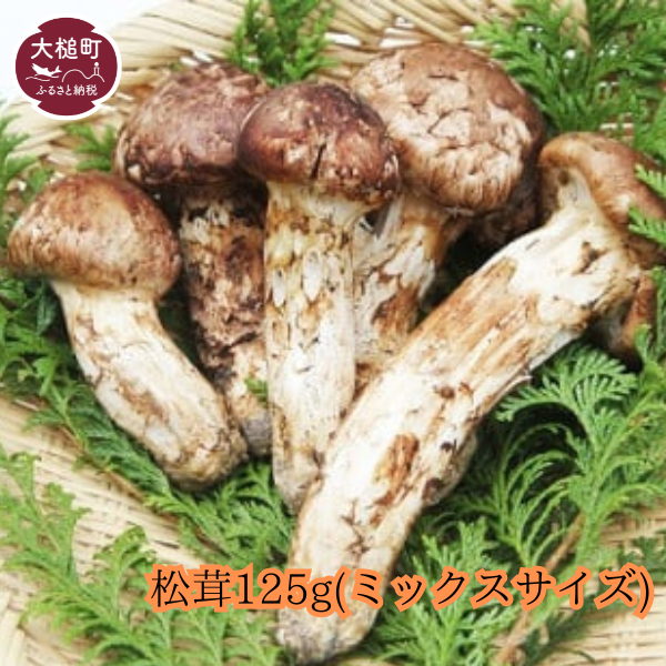 【令和8年10月より発送 先行予約】大槌産 まつたけ ミックスサイズ 125g 松茸 初栄丸