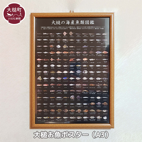 大槌お魚ポスター (A3サイズ)