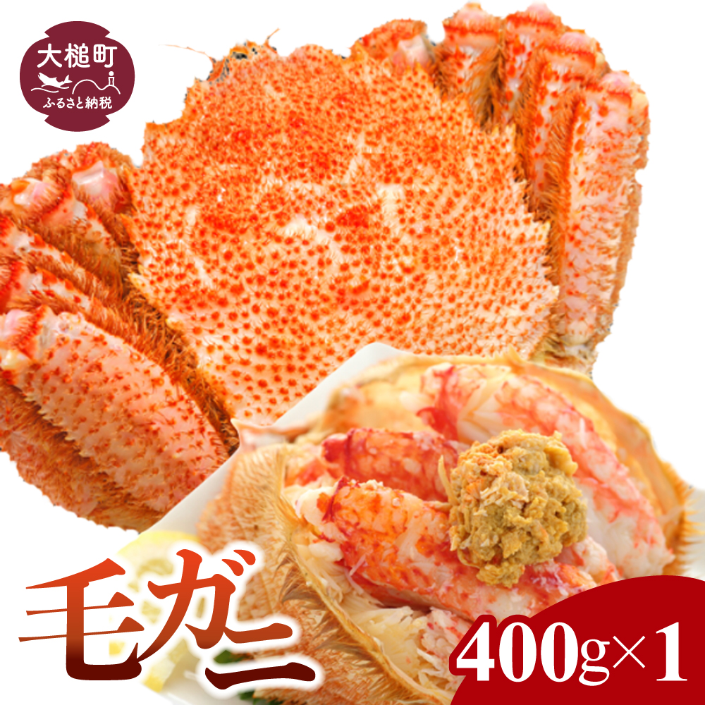 【令和8年発送】三陸産 三陸活毛ガニ400g×1杯【2026年3月～4月発送】【05】