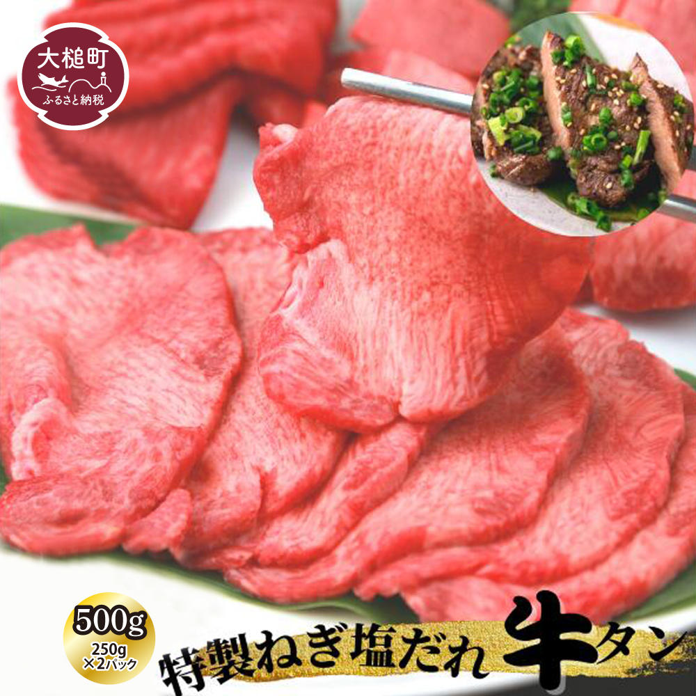 特製ねぎ塩だれ『牛タン』500g (250g×2パック) 小分け｜味付き 焼き 肉 冷凍 便利 使い切りサイズ 岩手 いわて iwate 岩手県大槌町