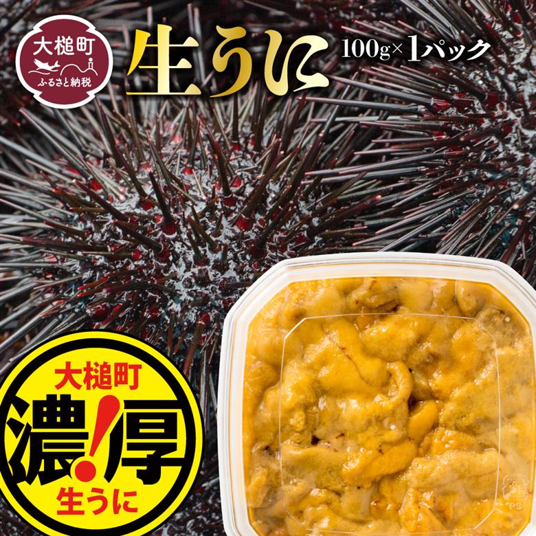 【令和8年発送先行予約】天然生うに 100g×1個【2026年5月上旬～8月発送】【05】