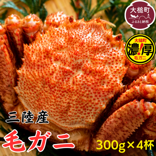 【令和8年発送】三陸産 三陸活毛ガニ 300g×4杯【2026年3月～4月発送】【05】