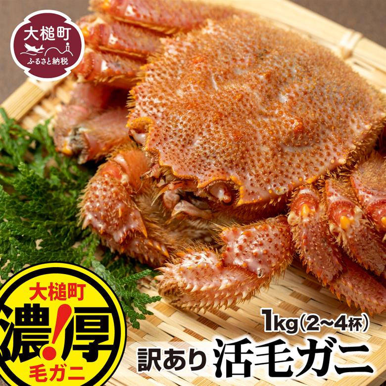 【令和8年発送先行予約】【訳あり】三陸産！活毛ガニ 1kg(2～4杯)【08】【2026年2月～4月発送】
