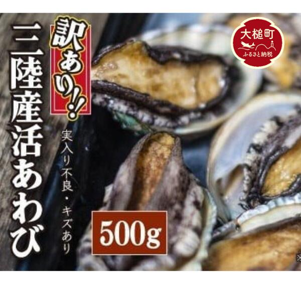 【※訳あり※】【11月～12月発送】 三陸産！活アワビ 約500g (3～5個)【数量限定】【08】｜冷蔵 三陸 岩手県 大槌町 あわび 人気 鮑 いわて iwate 2026 魚貝 鮮度抜群【配送日・曜日指定不可】
