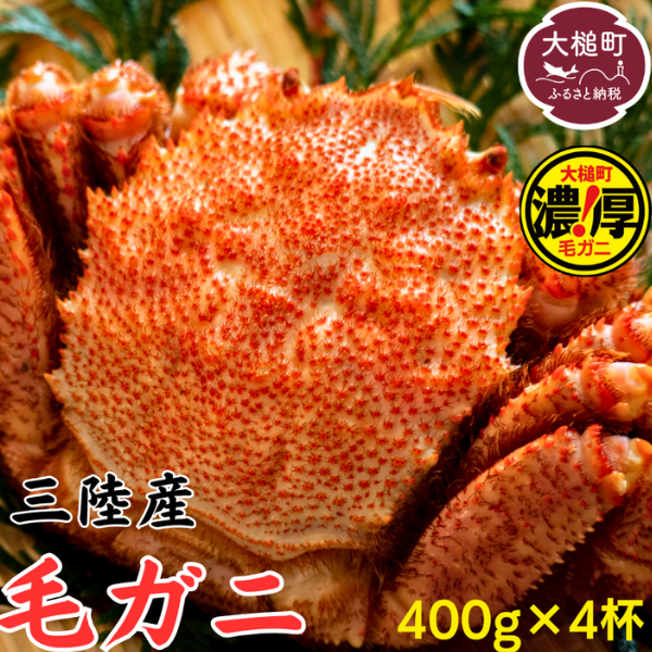 【令和8年発送】三陸産 三陸活毛ガニ 400g×4杯【2026年3月～4月発送】【05】