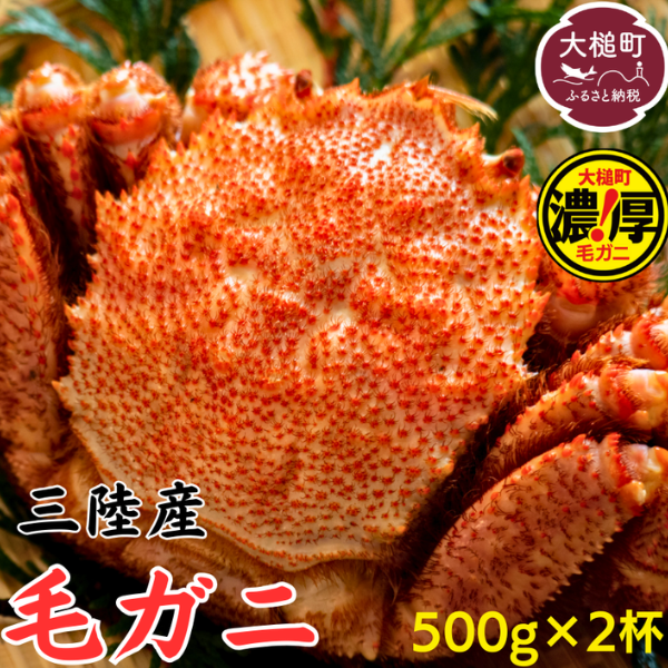 【令和8年発送】三陸産 三陸活毛ガニ 500g×2杯【2026年3月～4月発送】【05】