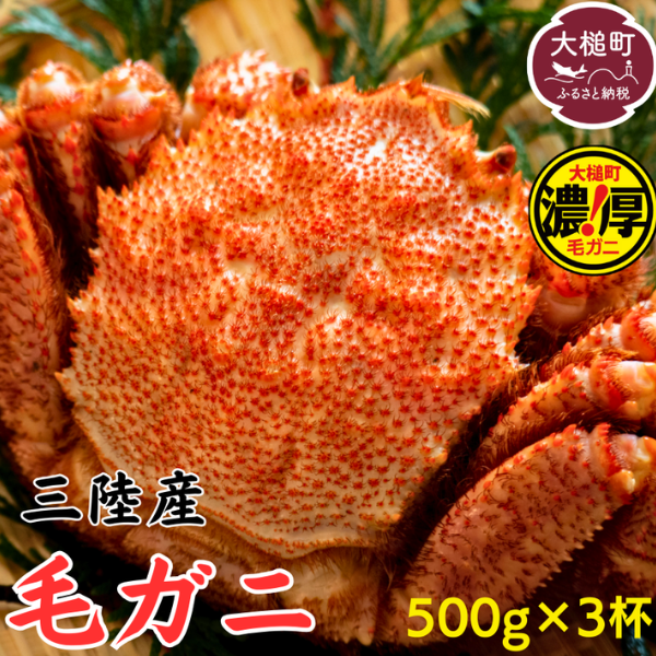 【令和8年発送】三陸産 三陸活毛ガニ 500g×3杯【2026年3月～4月発送】【05】