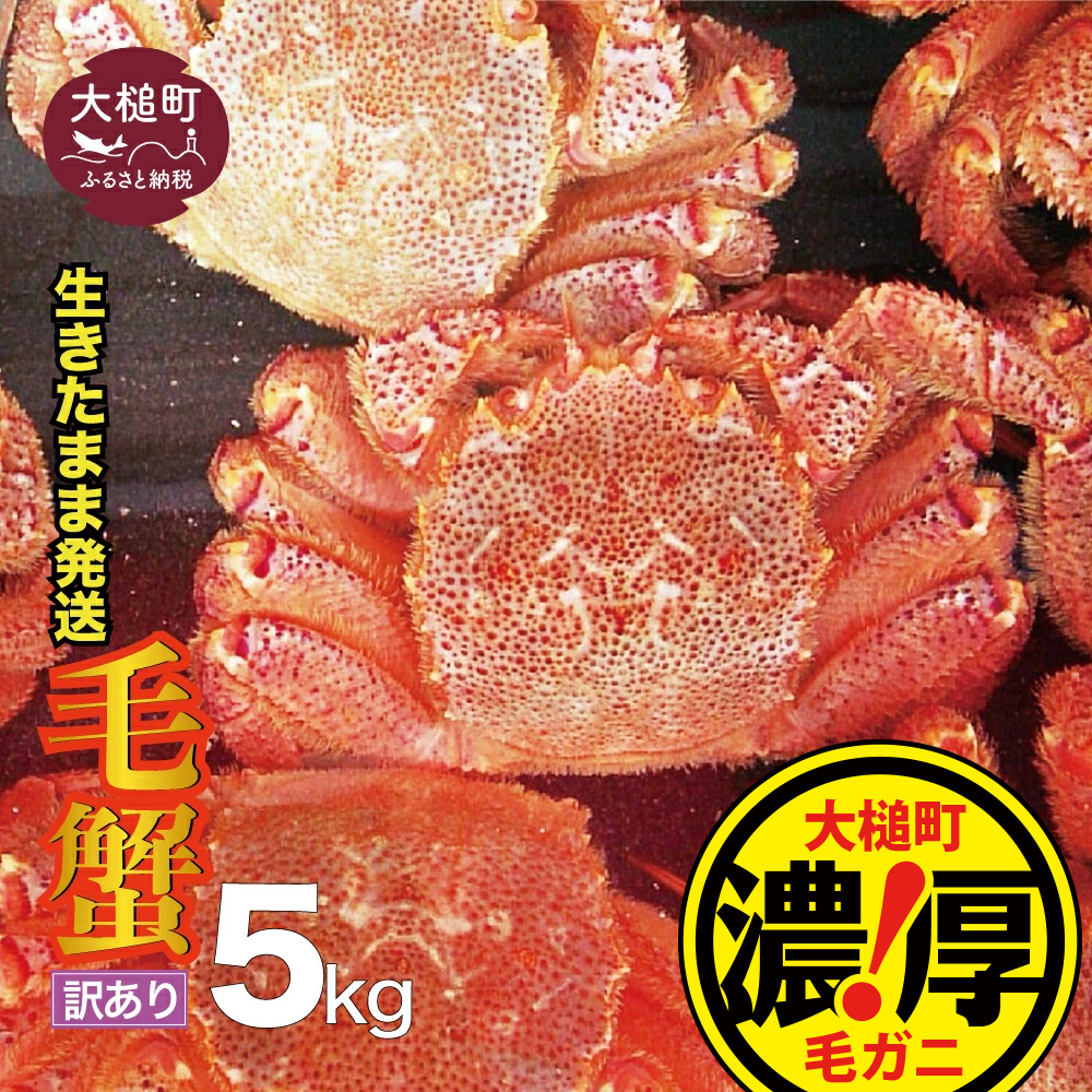 【令和8年発送先行予約】【訳あり】三陸産 活毛ガニ 5kg【08】【2025年2月～4月発送】