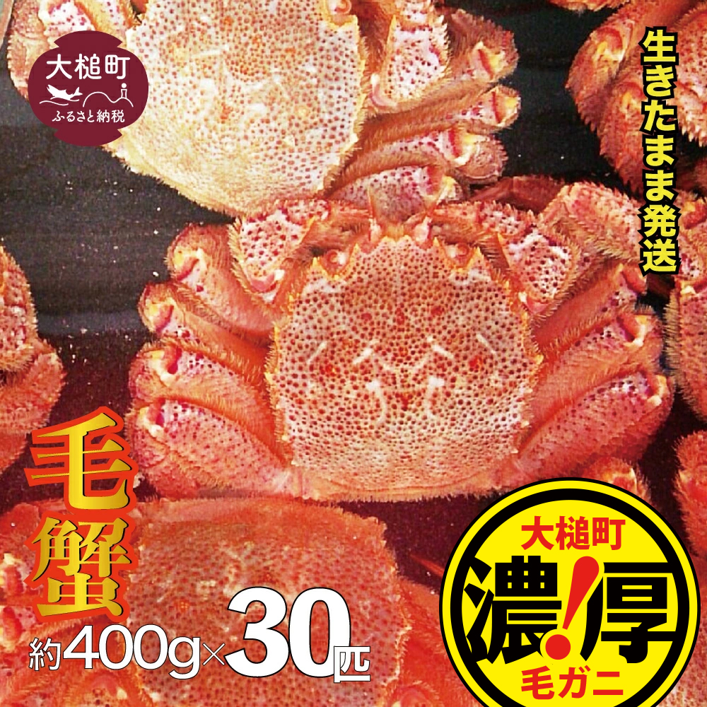 【令和8年発送先行予約】三陸産！活毛ガニセット 400g×30杯【08】【2026年2月～4月発送】