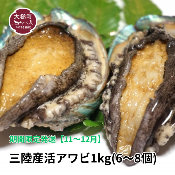【11月～12月発送】三陸産！活アワビ 約1kg (6～8個)【期間限定】【08】｜冷蔵 岩手県 大槌町 あわび 人気 鮑 いわて iwate 2026【配送日・曜日指定不可】