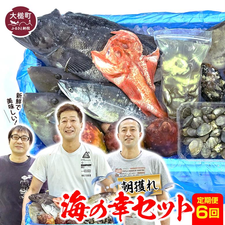 【定期便6回】朝獲れ海の幸セット（旬の鮮魚、海藻などの詰合せ）鮮魚 詰め合わせ 海鮮 魚介 魚貝 新鮮 旬 お楽しみ