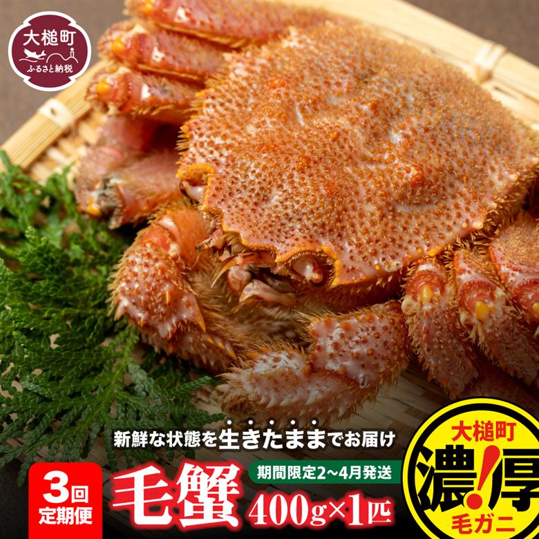【令和8年発送先行予約】【3回定期便】三陸産！活毛ガニ 400g相当×1杯【08】【2026年2月～4月発送】