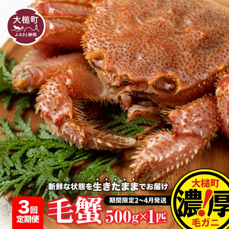 【令和8年発送先行予約】【3回定期便】三陸産！活毛ガニ 500g相当×1杯【08】 【2026年2月～4月発送】