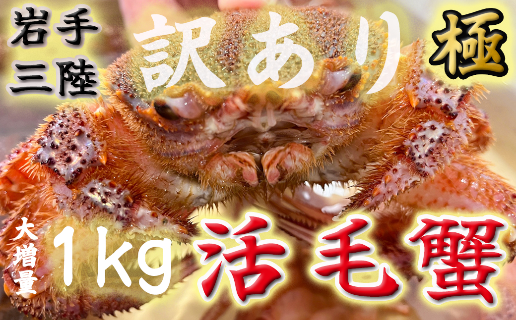 【令和8年発送先行予約】【訳あり】三陸産！活毛ガニ1kg (2～4杯(尾))【2026年2月～4月発送】【15】