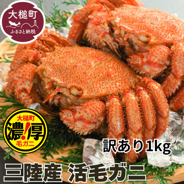 【期間限定！令和8年3月～4月発送】訳アリ三陸産活毛ガニ 1kg 【35】天然 国産 冷蔵 三陸 直送 濃厚 かに 蟹 カニ 毛ガニ 毛蟹 毛がに 初栄丸