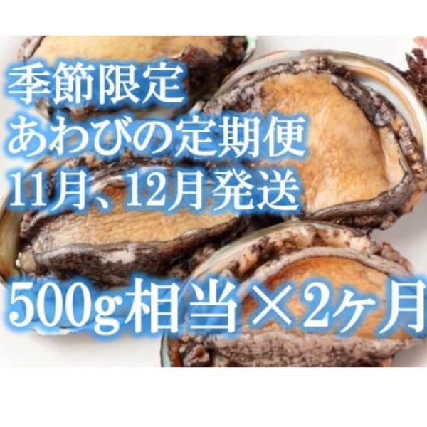 【2ヶ月定期便】アワビ 約500g (4個前後) ※アワビヘラ＆軍手付き※【期間限定】【35】 三陸 岩手県 大槌町 あわび 人気 鮑 刺身 いわて iwate 2025 初栄丸