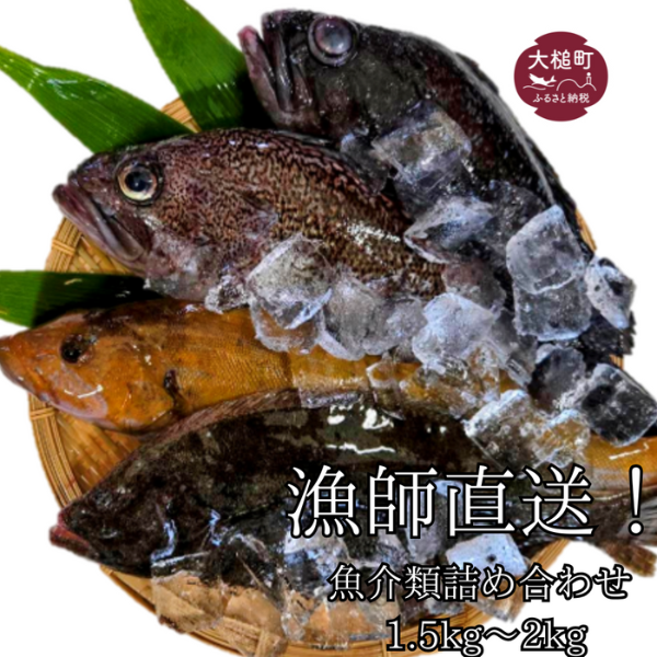 漁師直送！お任せ魚介類の詰め合わせ 1.5kg～2kg 【オリジナルクリアファイル付き】【期間限定1月～3月発送】