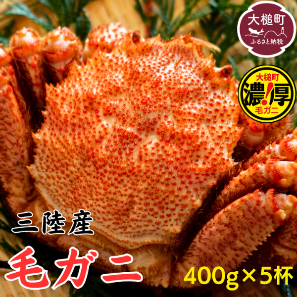 【令和8年発送】三陸産 三陸活毛ガニ400g×5杯【2026年3月～4月発送】【05】