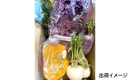 ≪先行予約≫【2026年5月中旬～発送開始！】 カラフルファムの旬のカラフル野菜 60 サイズ 無農薬 減農薬 詰合せ お弁当 食卓 おかず 新鮮野菜 三陸山田 山田町 山田産野菜 YD-1017