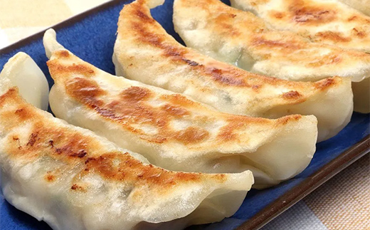 びはん特製！山田の餃子10個入り×10袋 三陸山田 山田町 肉 中華 山田の醤油 惣菜 YD-932