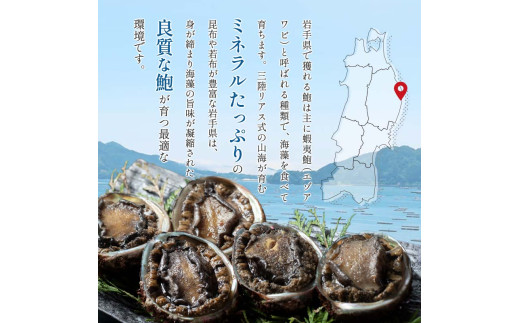川秀の冷凍鮑 500g 三陸山田 山田町 エゾアワビ 三陸産アワビ 海産品  YD-445