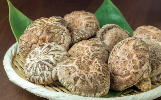 三陸山田産　原木乾椎茸「香信」三陸山田 山田町 野菜 きのこ きのこ名人 農林水産大臣賞 匠  YD-454