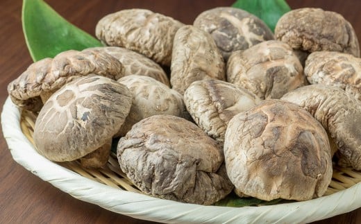 三陸山田産　原木乾椎茸「どんこ」 三陸山田 山田町 野菜 きのこ きのこ名人 農林水産大臣賞 匠  YD-456