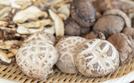 乾燥しいたけいろいろセット【配送日指定不可】   YD-459