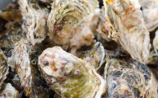 明神丸かき・ほたてきちの 剥き身牡蠣400g×4パック（1.6kg）セット  【配送日指定不可】【沖縄・離島配送不可】 三陸山田 海産品 海産物 かき シーフード  YD-497