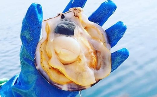 明神丸かき・ほたてきちの剥き牡蠣400gと剥きホタテ5個のセット【配送日指定不可】【沖縄・離島配送不可】三陸山田 海産品 海産物 かき ほたて シーフード YD-1046