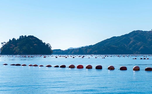 漁師がご案内！漁船に乗って山田湾に浮かぶ養殖いかだ見学クルーズペアチケット   YD-506