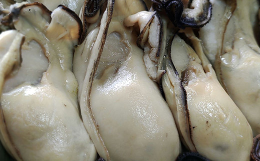 スモークラボ香屋の牡蠣の酒蒸し『浜千鳥』4袋セット【配送日指定不可】   YD-582