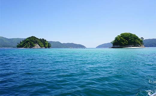 【岩手三陸山田】釣り船 邦栄丸 乗船券 4名分 山田町 山田湾 釣り船 船釣り 体験 カレイ アイナメ ソイ イカ ワラサ マス タラ メガラ  YD-689