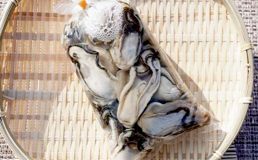 大福丸の剥き身牡蠣 約500g×1パック【三陸山田産】【沖縄・離島配送不可】三陸山田 山田町 山田湾 海産品 かき  YD-723