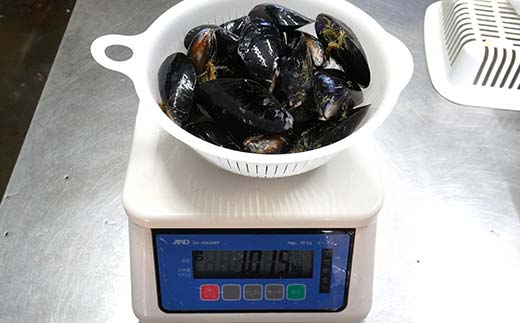 【DayDayで紹介されました！】ケッツラゲーおじさんのムール貝 1kg しゅうり貝 おつまみ 肴 アテ 海の幸 貝 魚介 海産物 食品 YD-800
