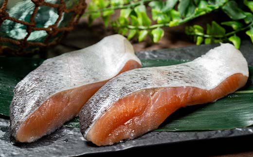 長根水産の 《訳あり》トラウトサーモンの切り身 約1㎏×2袋 YD-1030